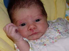 P1040244.jpg, nov. 2013 P1040244.jpg